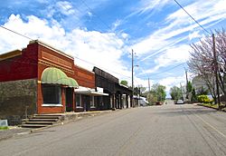 Buildings along Main Street in Ducktown