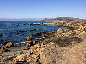 Estero Bluffs State Park, just north of Cayucos, CA, 10 October 2013. (10234210144).jpg