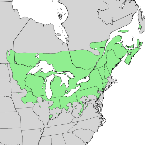 Fraxinus nigra range map 3