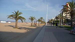 Gandia Beach