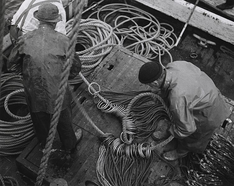 Gangions used in salmon longlining