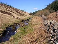 Gowkstane Burn, Forest of Ae - geograph.org.uk - 160264