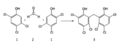 Hexachlorophenesynthesis
