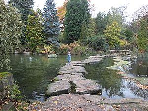 Highfields Park Stepping Stones 9132