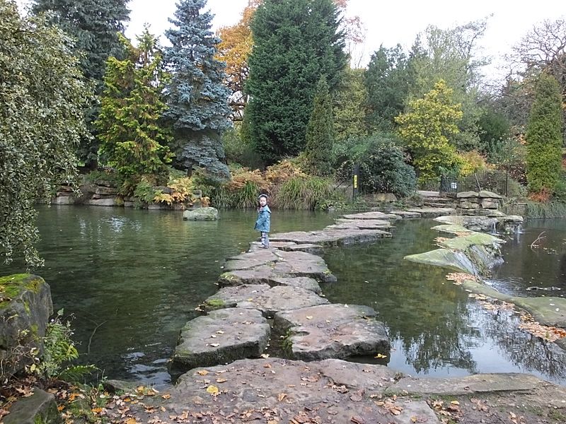 Highfields Park Stepping Stones 9132