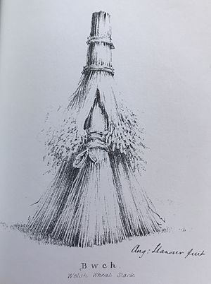 Illustration of a Welsh Wheat Stack known as a Bwch, from the book “The First Principles of Good Cookery “by Lady Llanover, first published in 1867