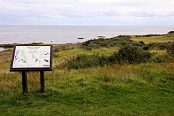 Picture of an information board in Whitburn Coastal Park.