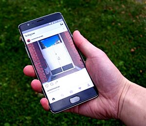 Instagram app on smartphone (grass background) (cropped)