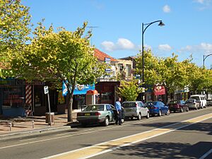 Kirrawee 6