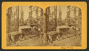 Leadville, Colorado. (Apr. 23, (18)79), by Gurnsey, B. H. (Byron H.), 1833-1880
