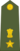 Lieutenant Colonel of the Indian Army.svg