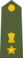 Lieutenant Colonel of the Indian Army.svg