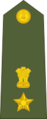 Lieutenant Colonel of the Indian Army