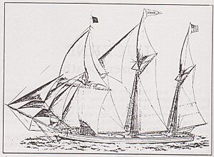 Lucerne ship