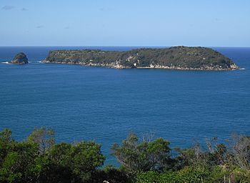 Mahurangi Island including Okorotere Island (left).jpg