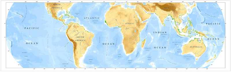 Map of global mangrove distribution