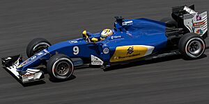 Marcus Ericsson 2016 Malaysia FP2 1.jpg