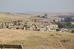 Milk River valley with Hoodoos