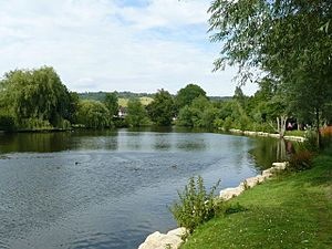 Millpond, Dorking, Surrey - geograph.org.uk - 1405478
