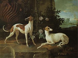 Misse and Turlu, Two Greyhounds Belonging to Louis XV