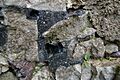 Mur vitrifié Ste-Suzanne