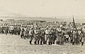 Muster on the Plain of Esdraelon 1914