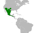 Myotis velifer map.svg