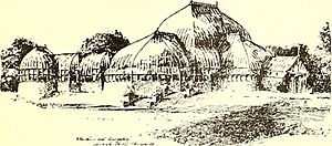 New Conservatory at Lincoln Park, Chicago Image from page 147 of "American gardening" (1892)