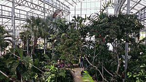 Nicholas Conservatory interior