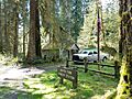 North Fork Quinault Ranger Station