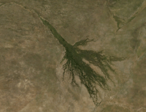 OkavangoDelta