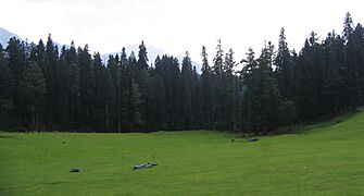 Pahalgam views 83