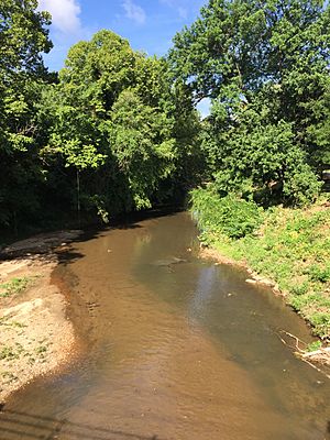 Peachtree Creek, July 2016