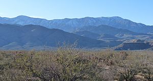 Pinaleno Mountains from West.40929