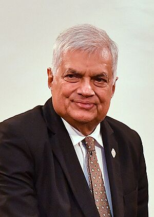 President Dr Muizzu meets Sri Lankan President Ranil Wickremesinghe (cropped).jpg