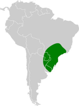 Pseudoleistes guirahuro map.svg