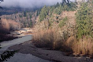 Queets River