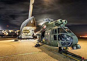 RAF Puma Mk2 Being Loaded onto a RAF C-17 of No. 99 Sqn (2)