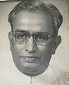 Ramchandra Martand Hajarnavis