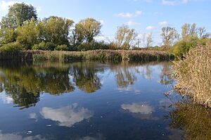 Rye Meads HMWT 1