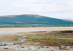 Sands of Loch Fleet and Sutherland monument.jpg