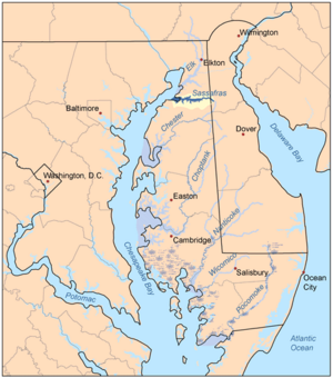 Sassafrasmap