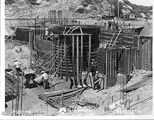 Sodium Reactor Experiment - Construction of the reactor