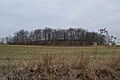 Sprott's Hill Mounds Site