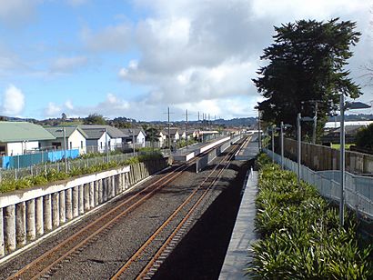 Sturges Road Train Station From East.jpg