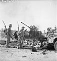 The British Army in Sicily 1943 NA5504