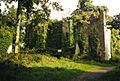 The Ruins of Castle Caldwell - and its history - geograph.org.uk - 1113036