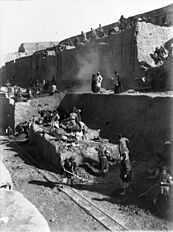 Photograph. Refer to caption