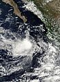 Tropical Depression Eight-E Aug 20 2010