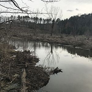 Tuckahoe Creek (Henrico and Goochland Counties, Virginia)